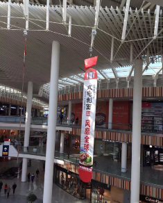商場電動葫蘆